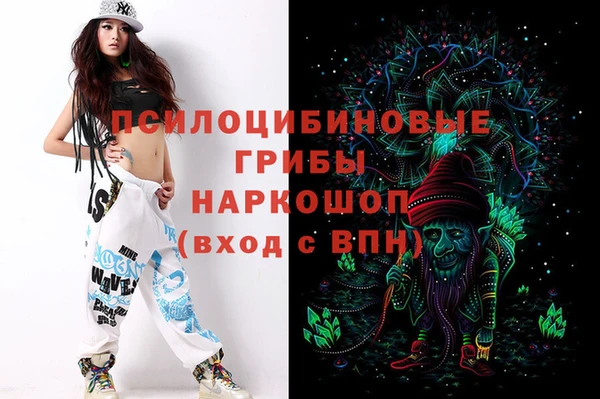 ГАЛЛЮЦИНОГЕННЫЕ ГРИБЫ Дмитров