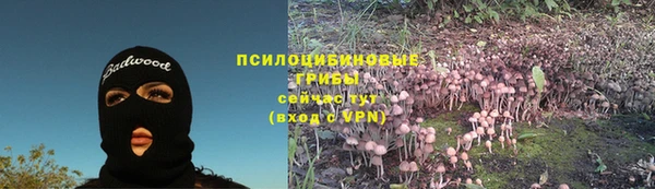MDMA Заводоуковск